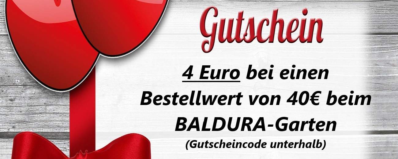 Jetzt den BALDURGarten Gutschein sichern und 4 € sparen!